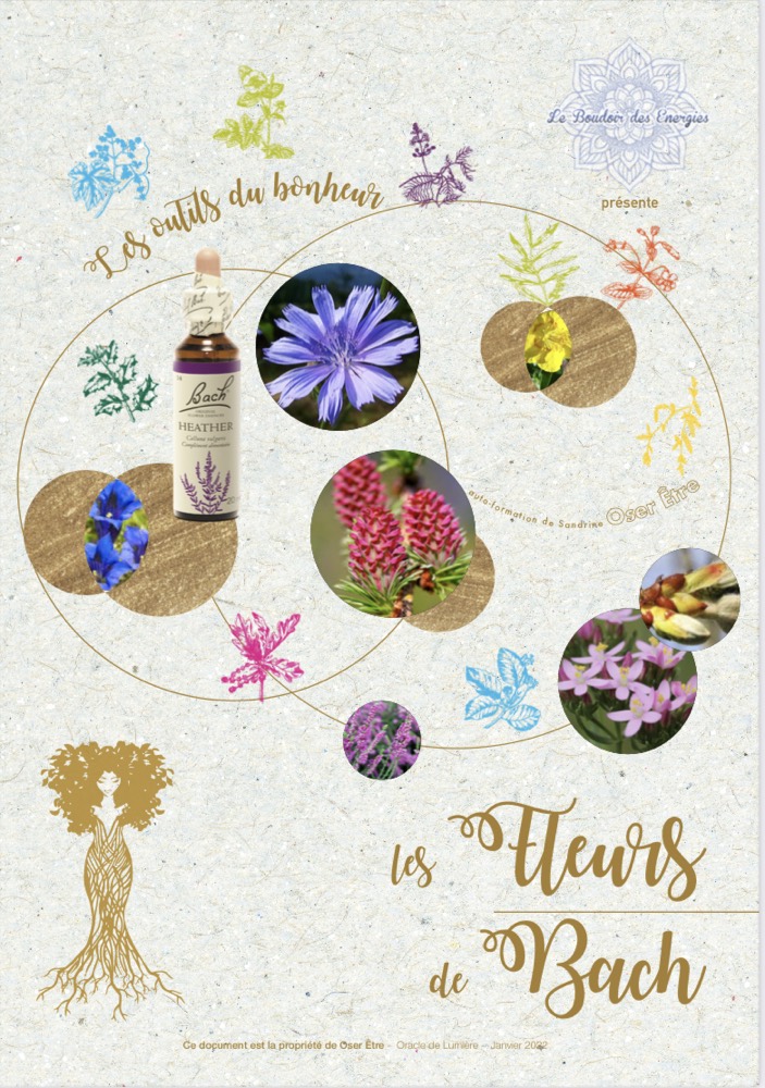 Affiche de la formation Fleurs de Bach